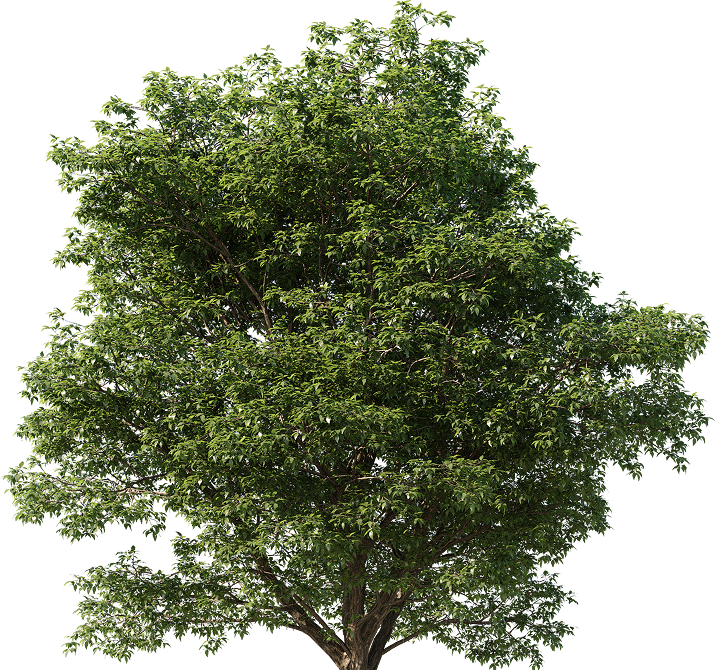 Sustentabilidade